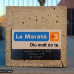 2012_12_16_la_marato_campionat_catalunya_vic (14)