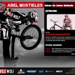 abel mustieles website 2013