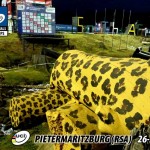 pietermaritzburg zone leopard